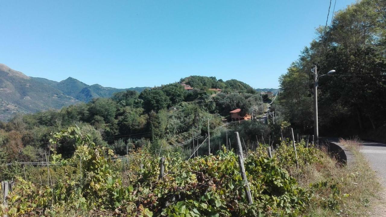 마사로라 Casa Greta 빌라 외부 사진